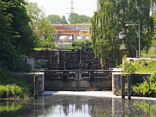 Dove Elbe Schleuse.jpg